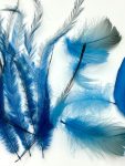 ArtsCraft-11.jpg