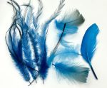 ArtsCraft-137.jpg