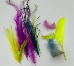 ArtsCraft-193.jpg