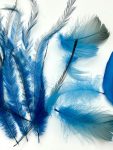 ArtsCraft-74.jpg