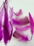 ArtsCraft-75.jpg